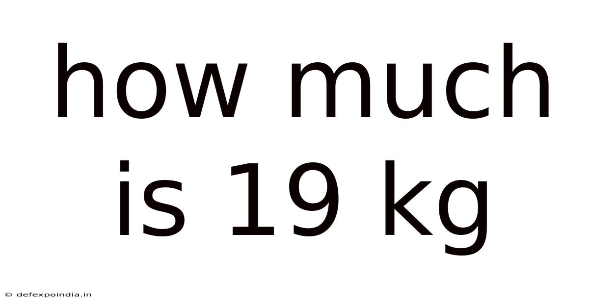 How Much Is 19 Kg