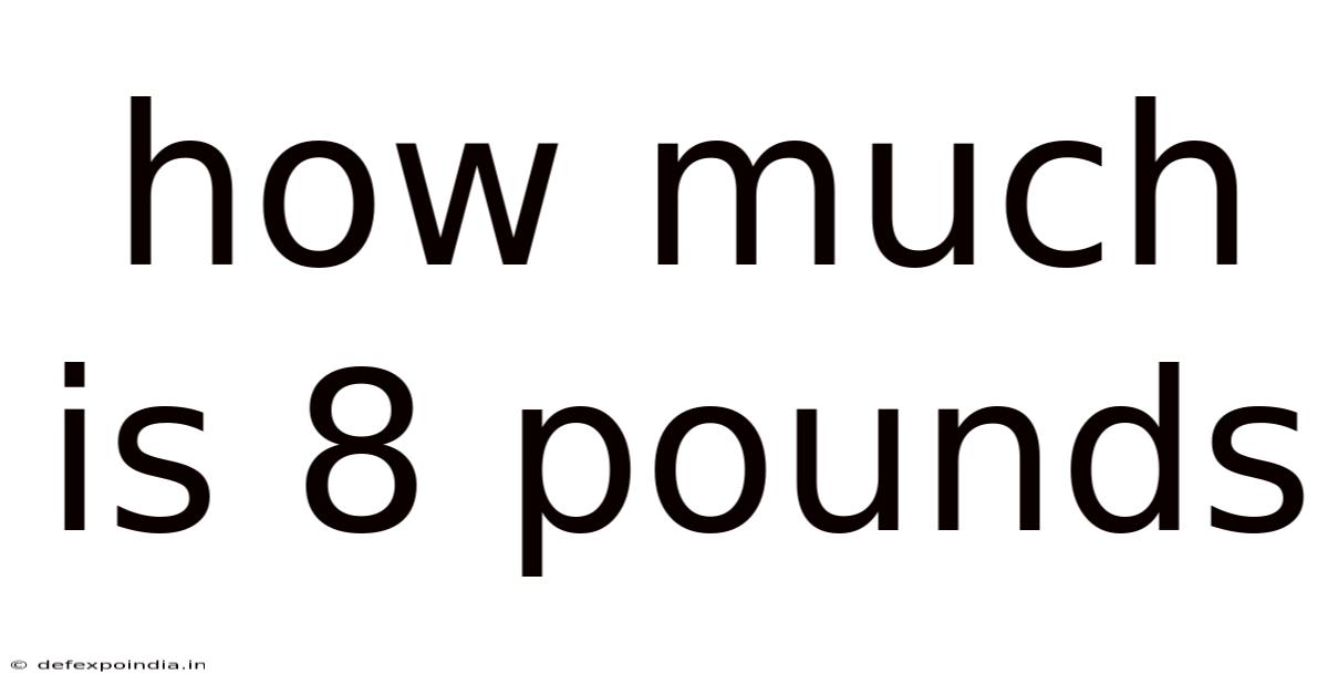 How Much Is 8 Pounds