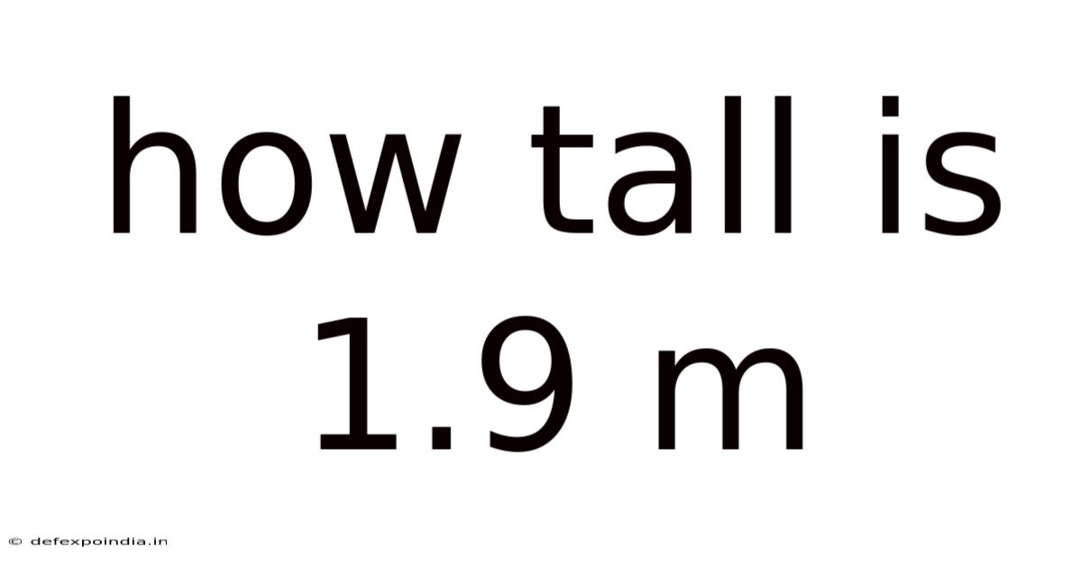 How Tall Is 1.9 M