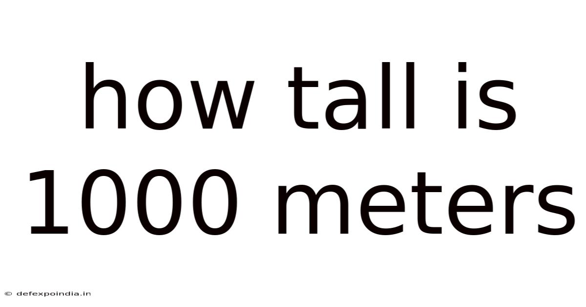 How Tall Is 1000 Meters