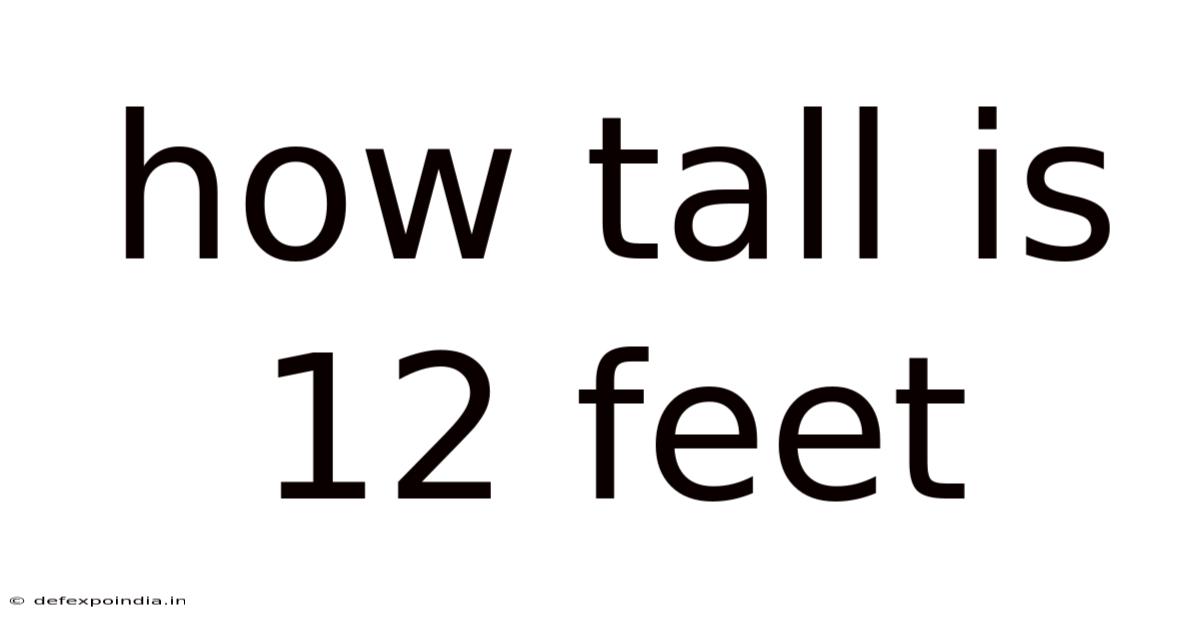 How Tall Is 12 Feet