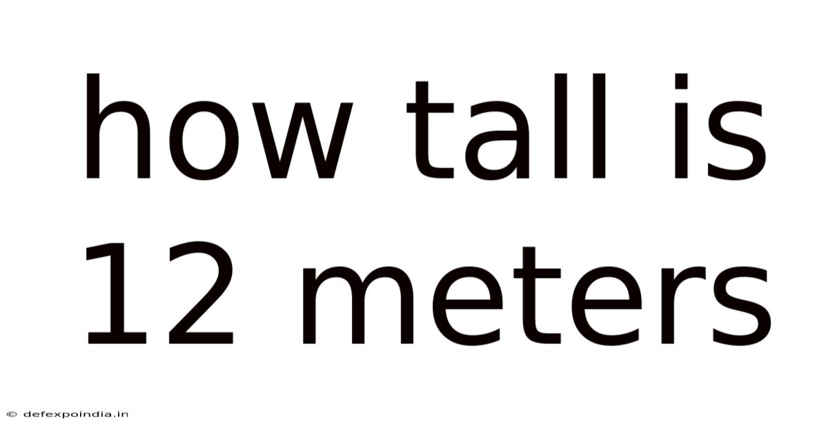 How Tall Is 12 Meters