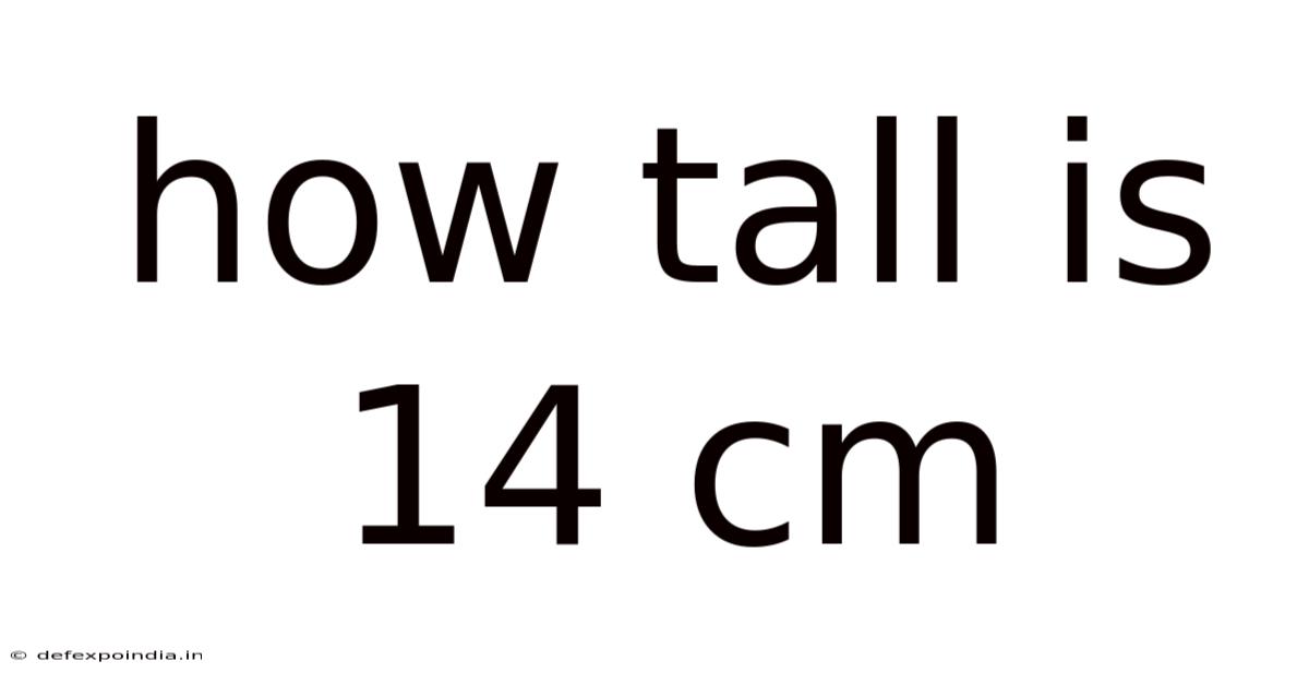 How Tall Is 14 Cm