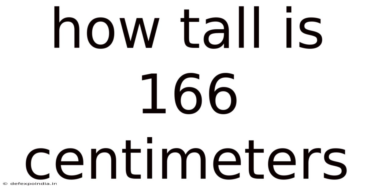 How Tall Is 166 Centimeters