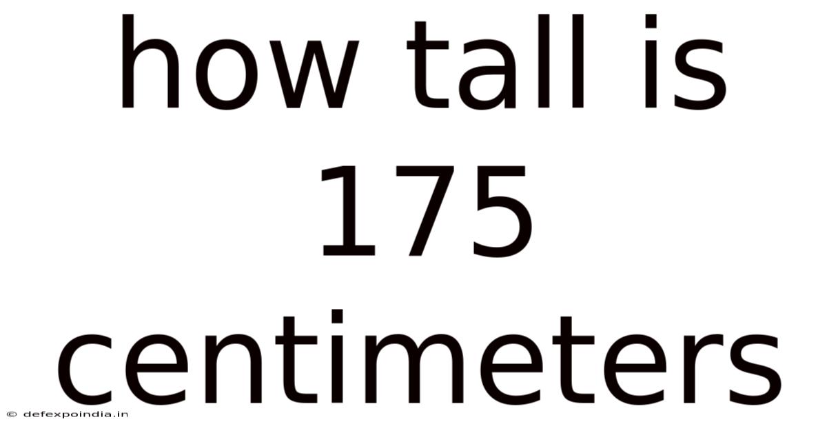 How Tall Is 175 Centimeters