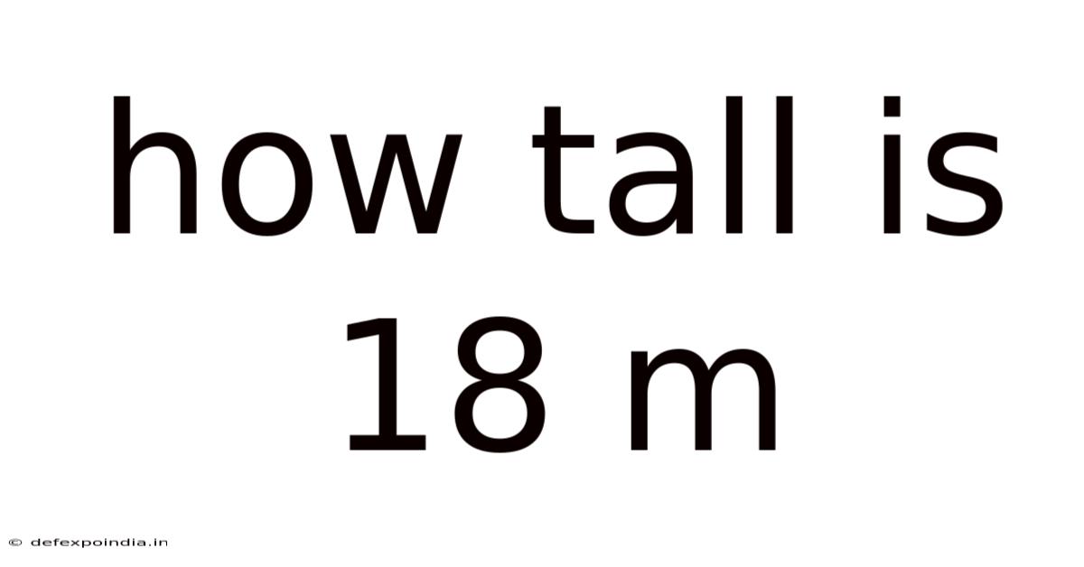 How Tall Is 18 M