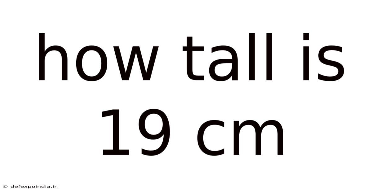 How Tall Is 19 Cm