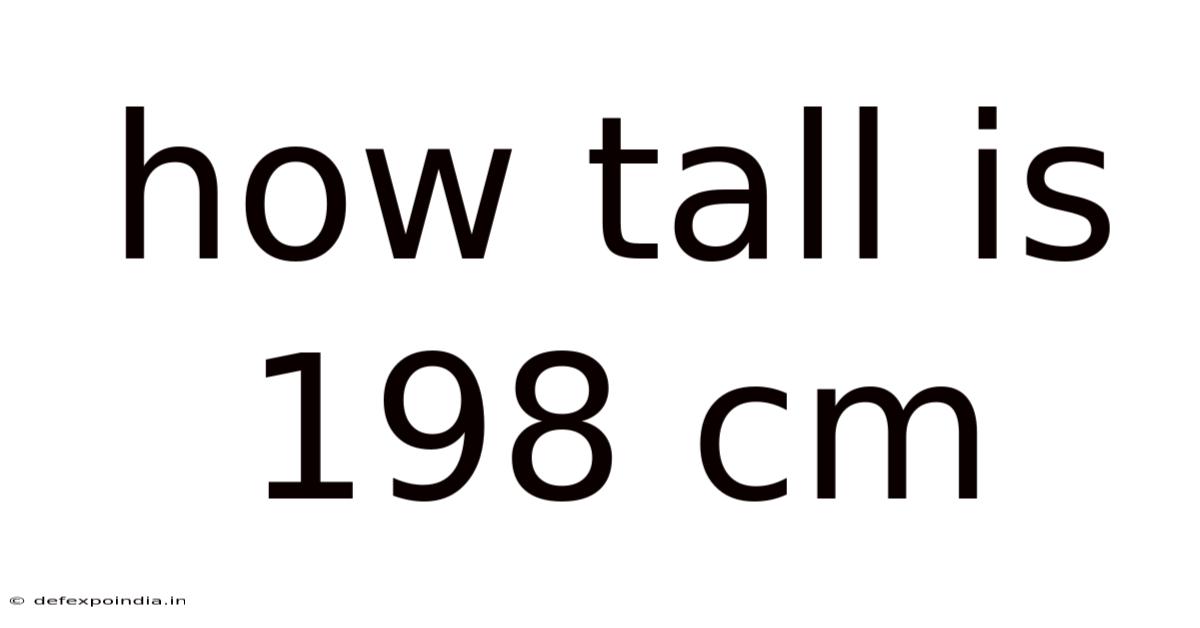 How Tall Is 198 Cm