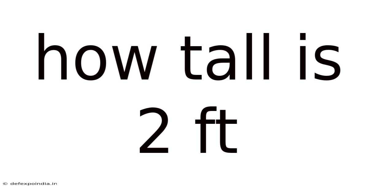 How Tall Is 2 Ft