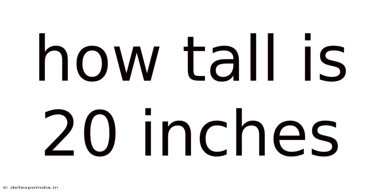 How Tall Is 20 Inches