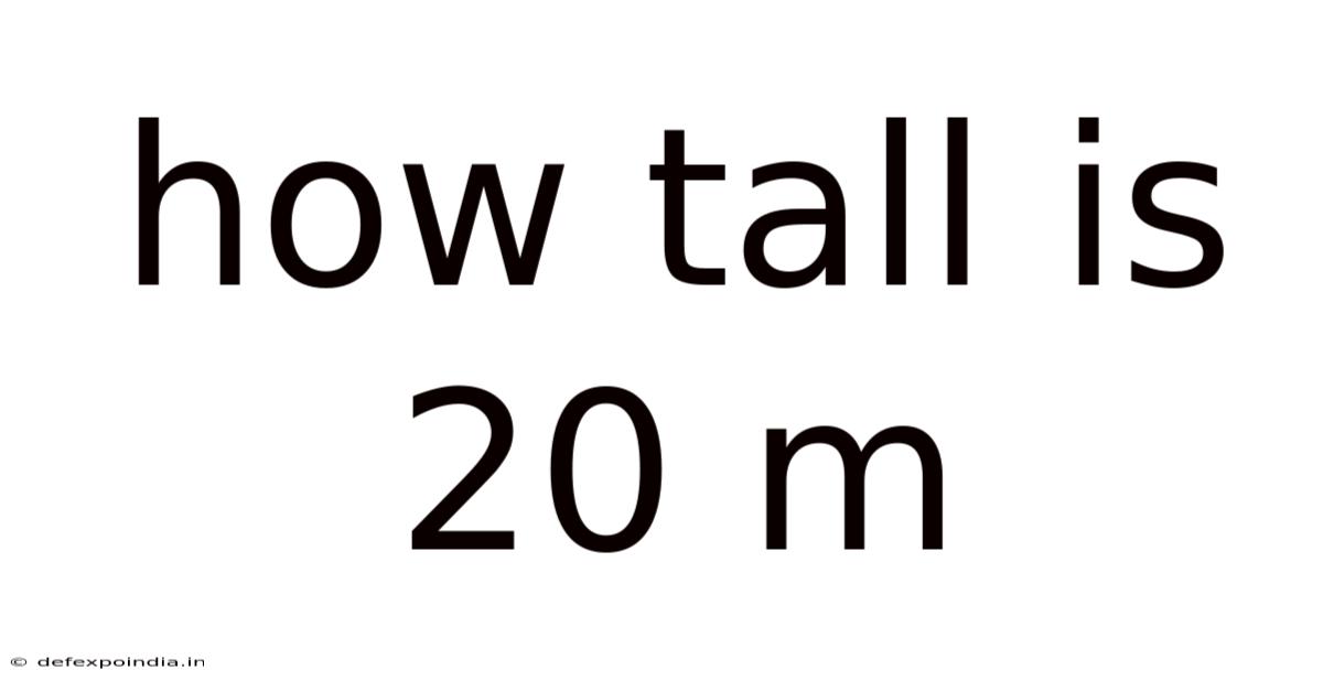 How Tall Is 20 M