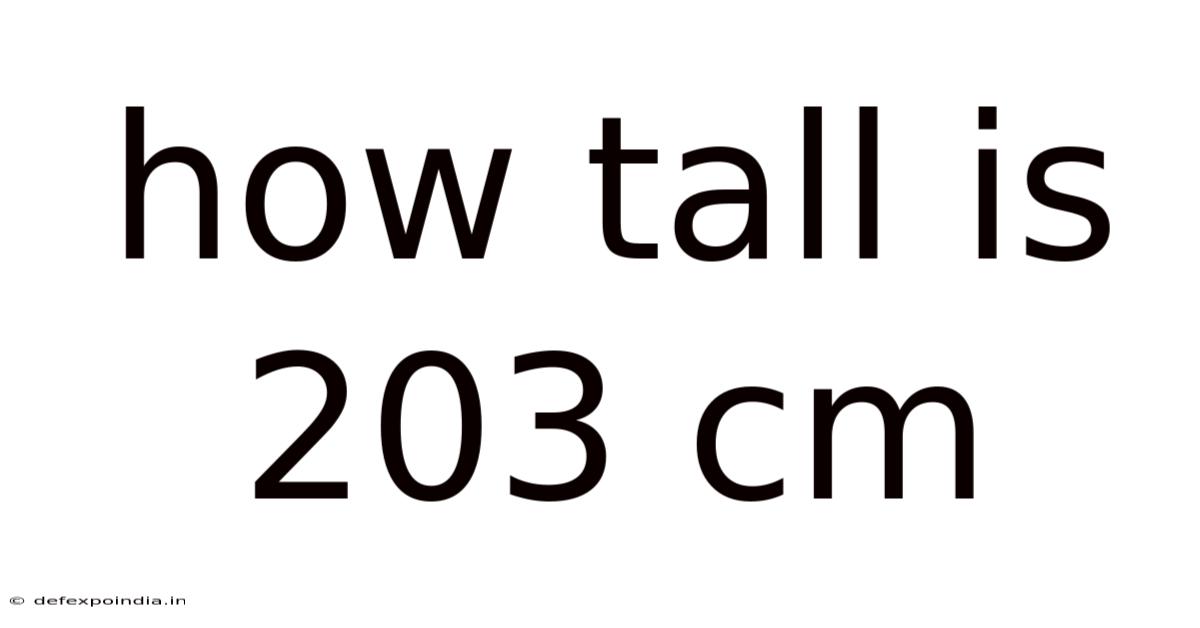 How Tall Is 203 Cm