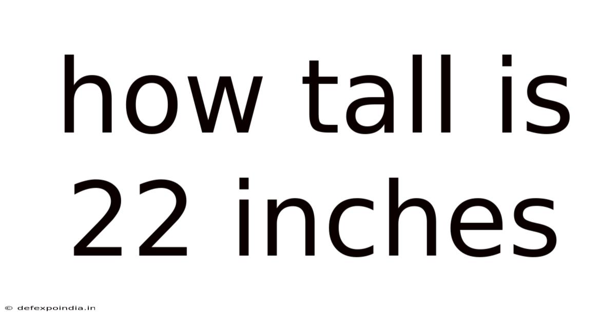 How Tall Is 22 Inches