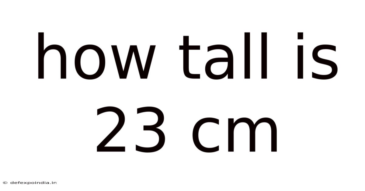How Tall Is 23 Cm