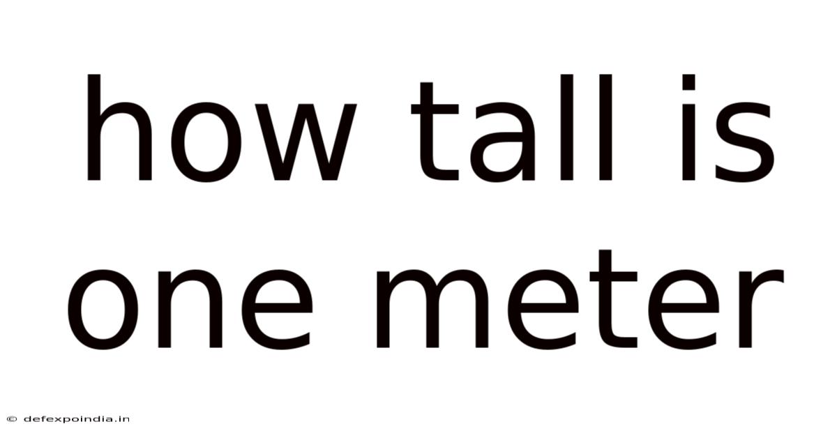 How Tall Is One Meter