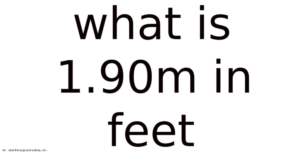 What Is 1.90m In Feet