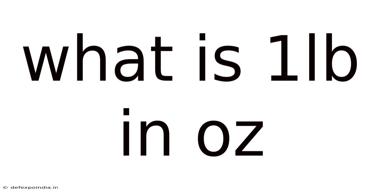 What Is 1lb In Oz